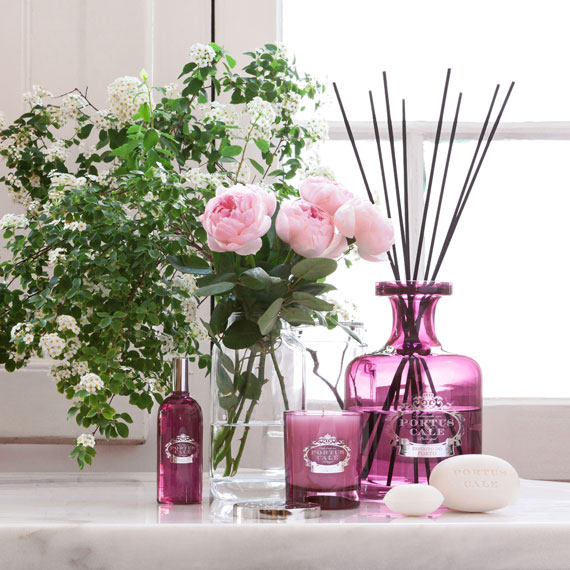 Black Orchid