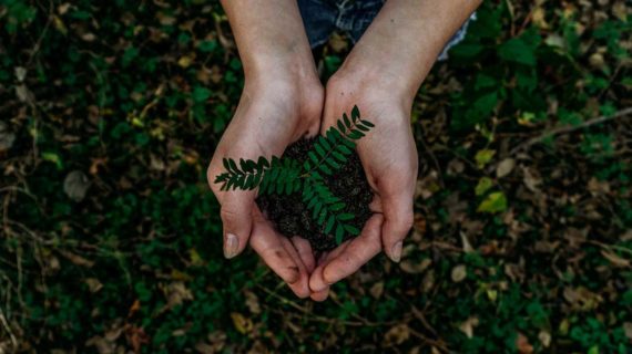 Castelbel – The Best Organic & Eco Friendly Brand